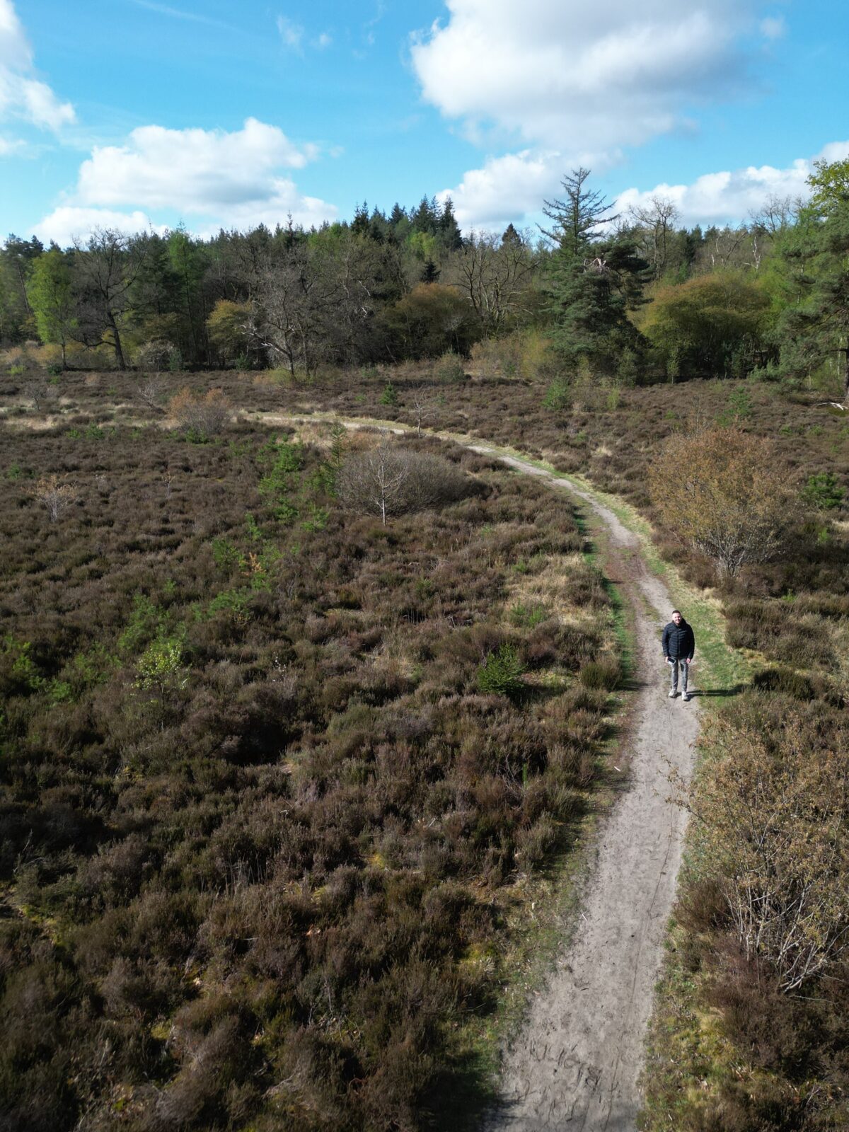 A heathland path, original outdoor imagery from Ben in Beeld
